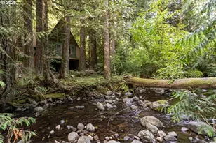 47100 SE Pheasant Meadow Rd, Sandy, OR 97055 - Photo 1