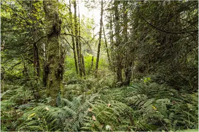 47100 SE Pheasant Meadow Rd, Sandy, OR 97055 - Photo 15