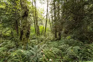 47100 SE Pheasant Meadow Rd, Sandy, OR 97055 - Photo 15
