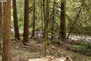 47100 SE Pheasant Meadow Rd, Sandy, OR 97055 - Photo 11