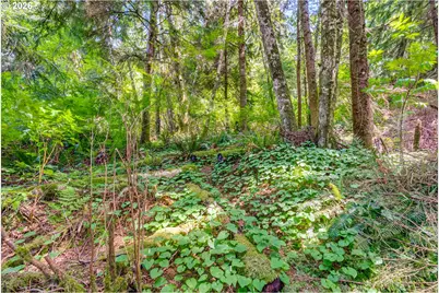 Block 9 Lot 5, Wheeler, OR 97147 - Photo 31