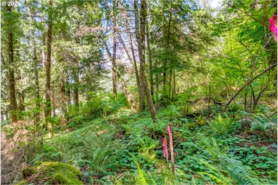 Block 9 Lot 5, Wheeler, OR 97147 - Photo 35