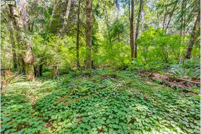 Block 9 Lot 5, Wheeler, OR 97147 - Photo 33