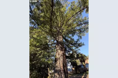 16947 Parkview Dr, Brookings, OR 97415 - Photo 31