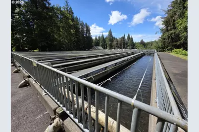 00 Fish Hatchery Dr, Scio, OR 97374 - Photo 5