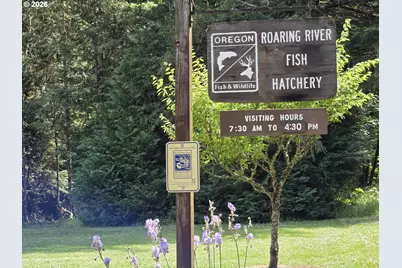 00 Fish Hatchery Dr, Scio, OR 97374 - Photo 3