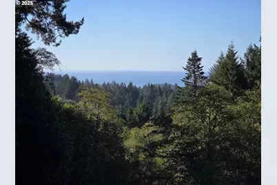 96420 Alder Ridge Rd, Brookings, OR 97415 - Photo 3