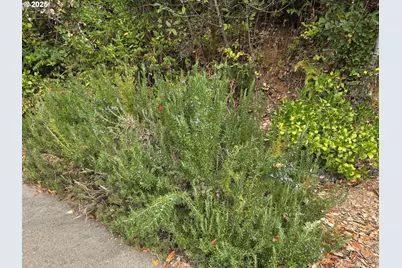 96420 Alder Ridge Rd, Brookings, OR 97415 - Photo 31