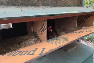 96420 Alder Ridge Rd, Brookings, OR 97415 - Photo 33