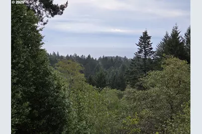 96420 Alder Ridge Rd, Brookings, OR 97415 - Photo 47