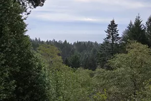 96420 Alder Ridge Rd, Brookings, OR 97415 - Photo 47