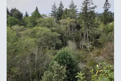 96420 Alder Ridge Rd, Brookings, OR 97415 - Photo 37