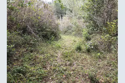 96420 Alder Ridge Rd, Brookings, OR 97415 - Photo 45