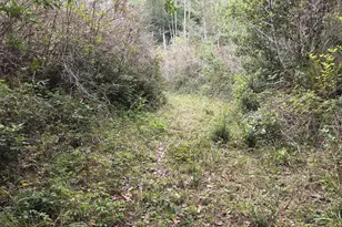 96420 Alder Ridge Rd, Brookings, OR 97415 - Photo 43