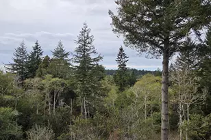 96420 Alder Ridge Rd, Brookings, OR 97415 - Photo 37