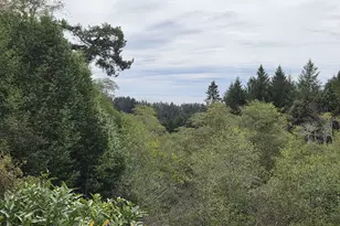 96420 Alder Ridge Rd, Brookings, OR 97415 - Photo 39