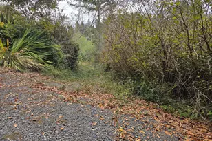 96420 Alder Ridge Rd, Brookings, OR 97415 - Photo 43