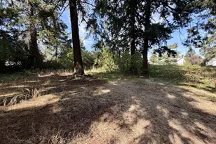 12825 SE Lincoln St, Portland, OR 97233 - Photo 45