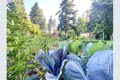 16691 S Holcomb Blvd, Oregon City, OR 97045 - Photo 41