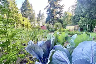 16691 S Holcomb Blvd, Oregon City, OR 97045 - Photo 41