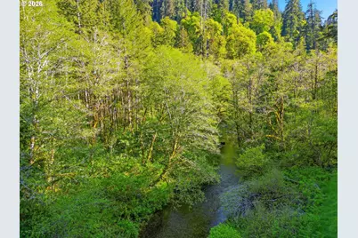 Upper North Ford Rd, Florence, OR 97439 - Photo 7