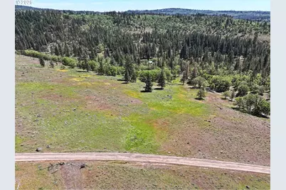 Nka Thomson Trail, Goldendale, WA 98620 - Photo 23