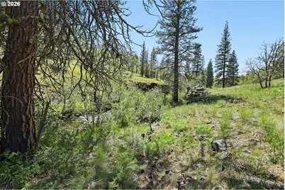 Nka Thomson Trail, Goldendale, WA 98620 - Photo 19