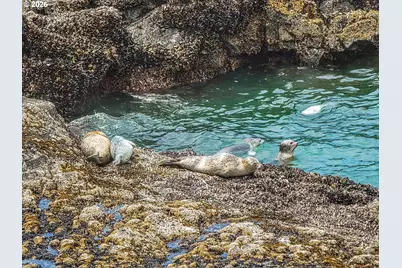 680 Coolidge Ln, Yachats, OR 97498 - Photo 43