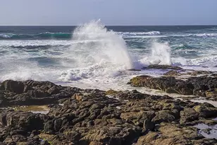 680 Coolidge Ln, Yachats, OR 97498 - Photo 41