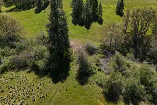 706 Centerville Hwy, Lyle, WA 98635 - Photo 43