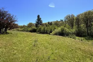 706 Centerville Hwy, Lyle, WA 98635 - Photo 29