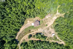 327 Parpala Rd, Naselle, WA 98638 - Photo 39