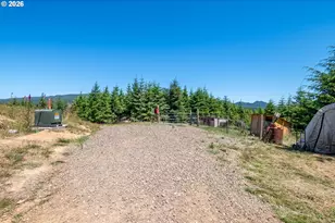 327 Parpala Rd, Naselle, WA 98638 - Photo 33