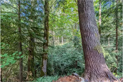 65000 E Highway 26 #WFB F, Welches, OR 97067 - Photo 21