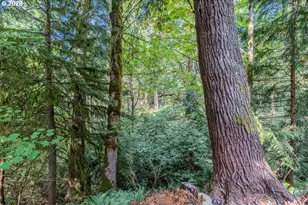 65000 E Hwy 26, Welches, OR 97067 - Photo 21