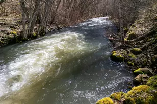 160 S Major Creek Rd, Lyle, WA 98635 - Photo 11