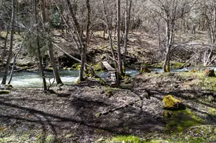 160 S Major Creek Rd, Lyle, WA 98635 - Photo 19