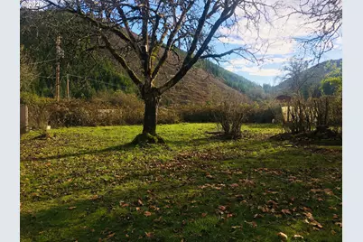 119 Bonanza Mine Rd, Sutherlin, OR 97479 - Photo 3