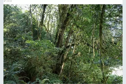 00 Stian Smith Rd., Coos Bay, OR 97420 - Photo 9