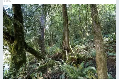 00 Stian Smith Rd., Coos Bay, OR 97420 - Photo 11