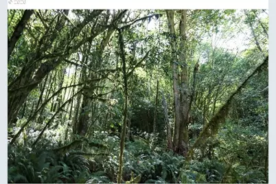 00 Stian Smith Rd., Coos Bay, OR 97420 - Photo 7