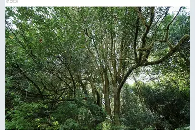 00 Stian Smith Rd., Coos Bay, OR 97420 - Photo 13
