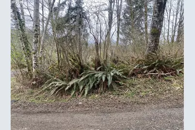 00 Elderberry Dr, Seaside, OR 97138 - Photo 7