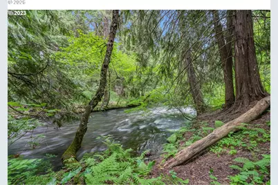 107 Lahar Rd, Trout Lake, WA 98650 - Photo 3