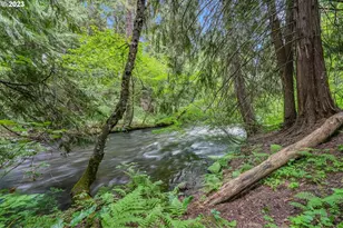 107 Lahar Rd, Trout Lake, WA 98650 - Photo 3