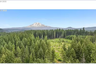 107 Lahar Rd, Trout Lake, WA 98650 - Photo 41