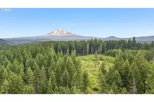 107 Lahar Rd, Trout Lake, WA 98650 - Photo 41