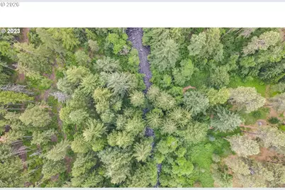 107 Lahar Rd, Trout Lake, WA 98650 - Photo 7