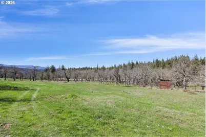 2505 Dry Creek Rd, Mosier, OR 97040 - Photo 43