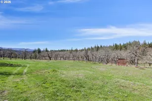 2505 Dry Creek Rd, Mosier, OR 97040 - Photo 43